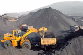 Fortalece Vietnam protección de reservas minerales
