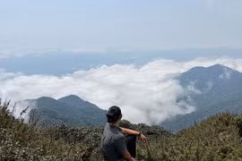 Vietnam desarrolla turismo asociado a la protección forestal