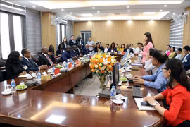 Panorama de reunión. (Foto: VNA)