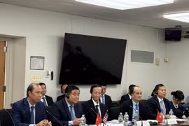 El ministro de Planificación e Inversión, Nguyen Chi Dung (al frente, segundo desde la izquierda) y otros miembros de la delegación vietnamita en el diálogo (Foto: VNA)