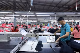 Muchas empresas de confecciones textiles han recibido pedidos hasta el cuarto trimestre. (Foto: VietnamPlus)