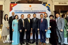 El embajador vietnamita en Suecia, Tran Van Tuan, y los delegados en un foro empresarial entre ambos países, efectuado en Estocolmo (Foto: VNA)