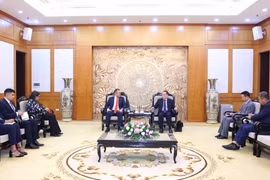Panorama de la reunión. (Foto: VNA)