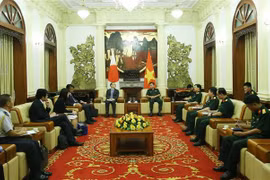 Panorama de la reunión. (Foto: VNA)