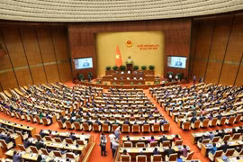 Panorama de la cita. (Foto: VNA)