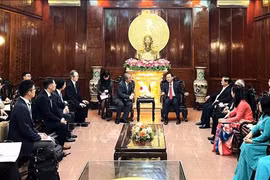 Buscan intensificar lazos multifacéticos entre ciudad vietnamita y Japón