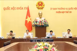 El vicepresidente de la Asamblea Nacional de Vietnam Tran Thanh Man interviene en la cita. (Foto: VNA)