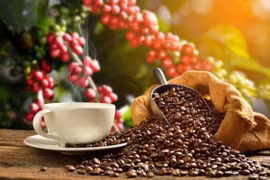 Exportaciones de café de Vietnam aumentan 33,2% en primer semestre