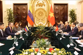 Panorama de la cita. (Foto: VNA)