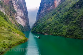 Contemplan belleza del río Nho Que en provincia Ha Giang