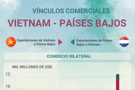 Vínculos comerciales Vietnam-Países Bajos 