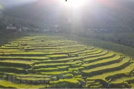 Descubren la reserva natural de Pu Luong en provincia de Thanh Hoa 