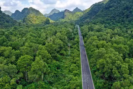 Parque Nacional Cat Ba: “pulmón verde” en medio del mar