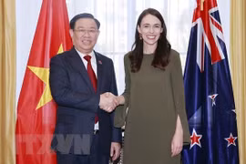 Vietnam profundiza sus nexos con Australia y Nueva Zelanda