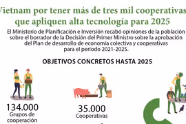 Vietnam por tener más de tres mil cooperativas que apliquen alta tecnología para 2025