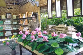 Empresa vietnamita presenta productos de flor de loto