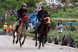 Preservan las características únicas de la carrera de caballos Bac Ha 