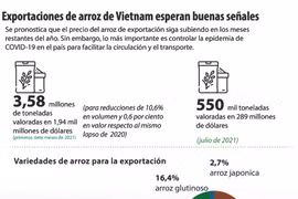 Exportaciones de arroz de Vietnam esperan buenas señales 