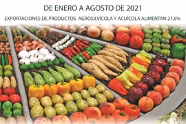 Exportaciones de productos agrosilvícola y acuícola de Vietnam aumenta 21,6 por ciento en ocho meses