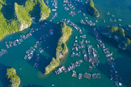 Isla Cat Ba – destino atractivo de ciudad de Hai Phong