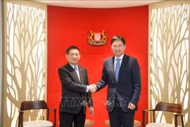 El ministro de Finanzas, Ho Duc Phoc, se reunió con el segundo ministro de Finanzas de Singapur, Chee Hong Tat. (Fuente: VNA)