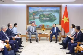 El viceprimer ministro Tran Hong Ha recibe a su homólogo ruso, Dmitry Chernyshenko. (Foto: VNA)
