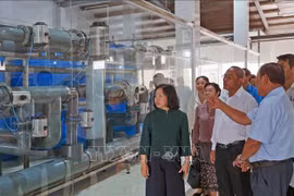 Delegación de Laos visita la empresa de Viet-Uc Ca Mau (Foto: VNA)