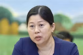 Nguyen Thi Phuong Hoa, vicesecretaria del Comité de Asuntos Civiles del Partido y viceministra de Recursos Naturales y Medio Ambiente (Foto: VNA)