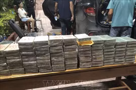 Decomisan 100 barras de heroína (Fuente: VNA)