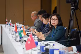 La directora general adjunta Doan Thi Tuyet Nhung en la reunión. (Fuente: VNA)
