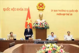 El vicepresidente permanente de la Asamblea Nacional, Tran Thanh Man, interviene en la 33 Reunión del Comité Permanente del Parlamento. (Foto: VNA)