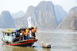 Oficiales militares participan en la limpieza de los desechos y la basura que el tifón Yagi arrojó a la bahía de Ha Long. La campaña de limpieza, de tres días de duración, comenzó el 15 de septiembre. (Foto: VNA)