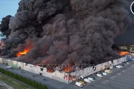 Escenario del incendio. (Fuente: VNA)