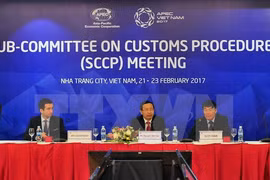 Miembros de APEC intercambian experiencias en reforma de procedimientos aduaneros 