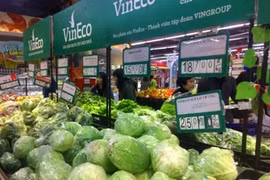Respaldan a campesinos vietnamitas en producción agrícola limpia