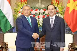Presidente de Vietnam resalta nexos con Hungría