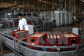 Vietnam continúa conversión de empresas estatales en sociedades anónimas
