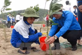 Proyecto estadounidense ayuda a proteger medioambiente en Vietnam