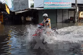 Impulsará Ciudad Ho Chi Minh proyectos contra erosión fluvial