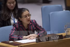 Vietnam llama a una estrategia integral de la ONU para mantener la paz