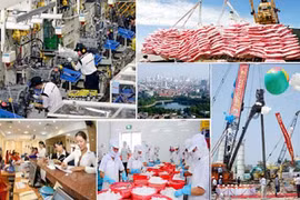 Vietnam afronta obstáculos para alcanzar objetivo de crecimiento económico