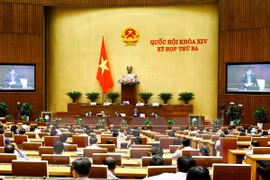 Parlamento vietnamita aprueba ley para desarrollo de empresas pequeñas y medianas