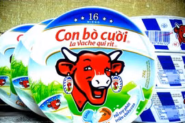 Inauguran segunda fábrica de queso de grupo francés Bel en Vietnam