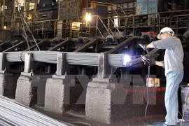 Fundan Asociación de Industrias de Apoyo de Vietnam 