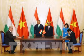 Vietnam y Hungría buscan oportunidades de cooperación en agricultura 