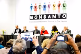 Dos eurodiputados demandan instituir Comisión de Investigación sobre actividades de Monsanto