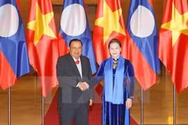Presidenta del Parlamento vietnamita se entrevista con máximo dirigente de Laos