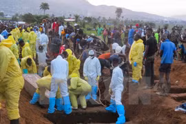 Vietnam expresa condolencias a Sierra Leona por graves inundaciones 