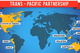 Inversión extranjera en Vietnam no será afectada si el TPP fracasa