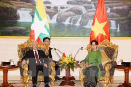Lazos partidistas Vietnam- Myanmar: fundamento para progreso dinámico nacional